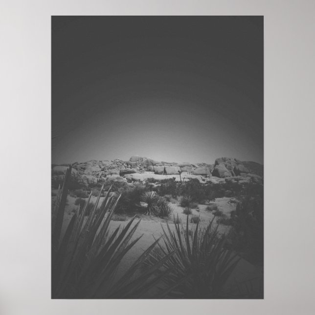 Vignette Black and White Joshua Tree Desert Scene Poster (Vorne)