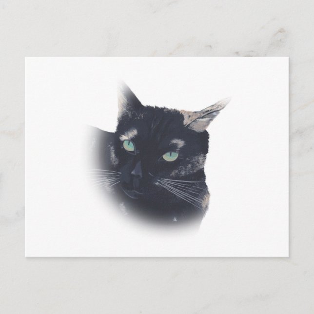 Vignette von Tortoise Muschel Katzengesicht Postka Postkarte (Vorderseite)