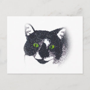 Vignette von Tuxedo Cat Face Postkarten