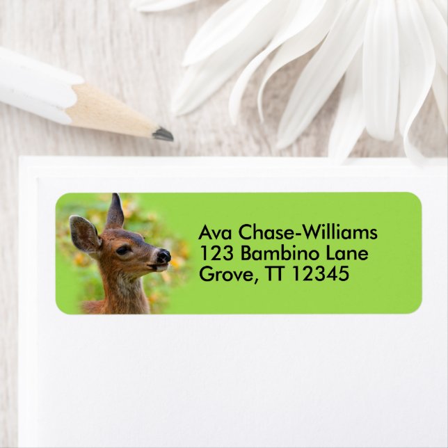 Vignetted Portrait von Lächelndem Schwarzschwanz-H (Insitu)