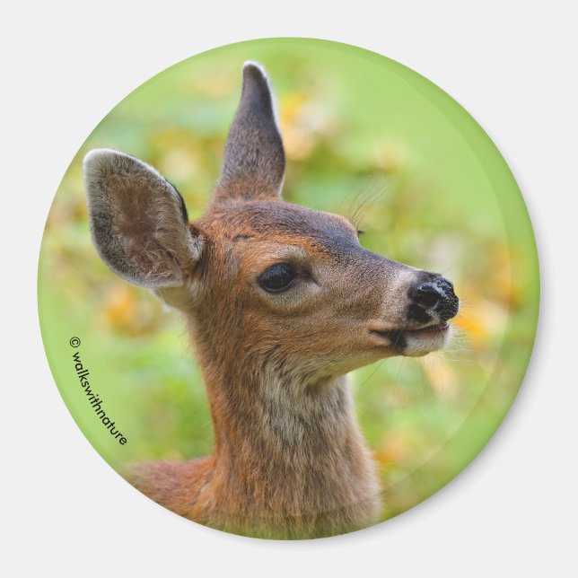 Vignetted Portrait von Lächelndem Schwarzschwanz-H Magnet (Vorne)