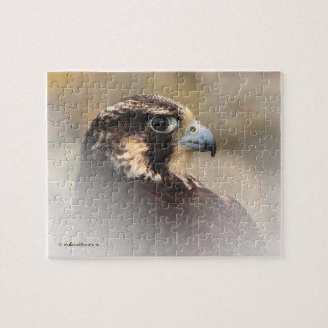 Vignettiertes Profil eines Peregrine Falken (Horizontal)