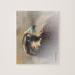 Vignettiertes Profil eines Peregrine Falken