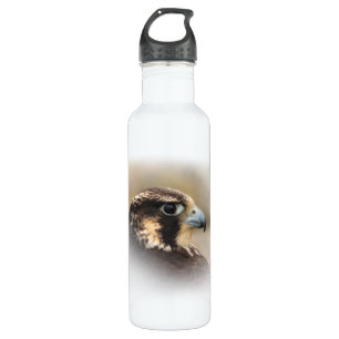 Vignettiertes Profil eines Peregrine Falken Edelstahlflasche