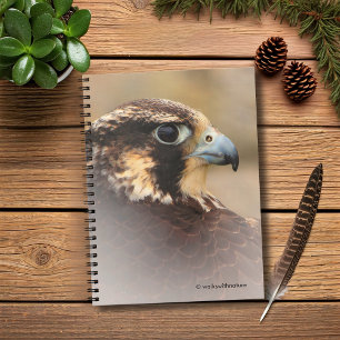 Vignettiertes Profil eines Peregrine Falken Notizblock