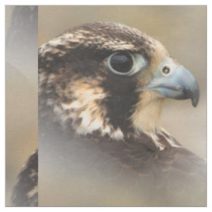 Vignettiertes Profil eines Peregrine Falken Stoff