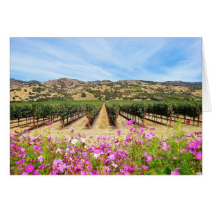 Vignoble de Napa Valley la Californie