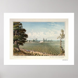 Vignoble El Pinal, San Joaquin Poster du Comté