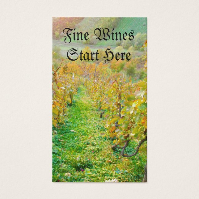 Vignoble en automne (Devant)