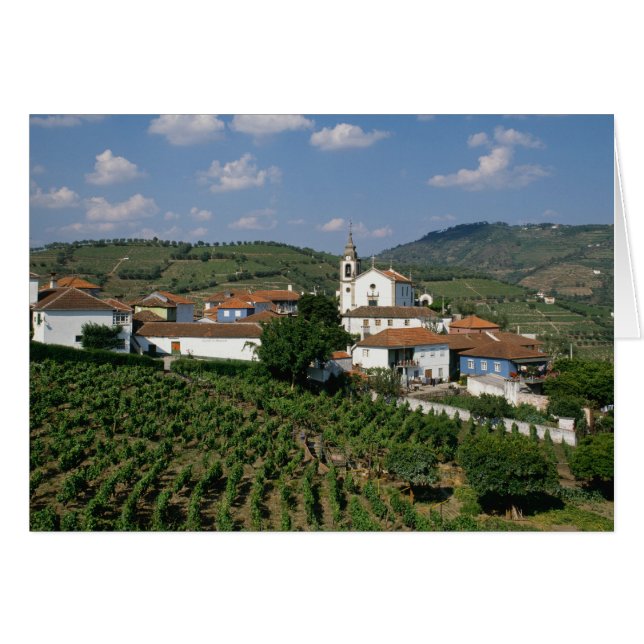 Vignobles, Village de San Miguel, Douro (Devant horizontal)