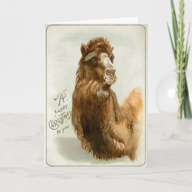 Viktorianisch Camel Weihnachtskarte Feiertagskarte (Vorderseite)