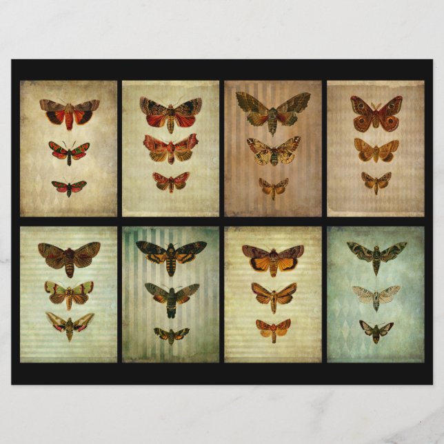 Viktorianisch Style Moth ATC Scrapbook Cards (Vorderseite)