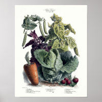 Viktorianische Ära 1891 Obst und Gemüse Pariser We