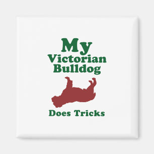 Viktorianische Bulldogge Magnet