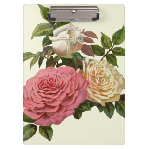 Viktorianische Creme und Rosen Klemmbrett