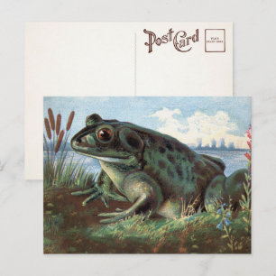 Viktorianische Froschkunst-Postkarte Postkarte