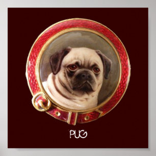 VIKTORIANISCHE HUND-MINIATURPORTRAITS Pug Poster