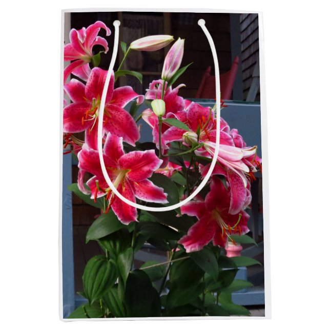 Viktorianische Hütte Pink Lilies - Martha's Vineya Mittlere Geschenktüte (Vorderseite)