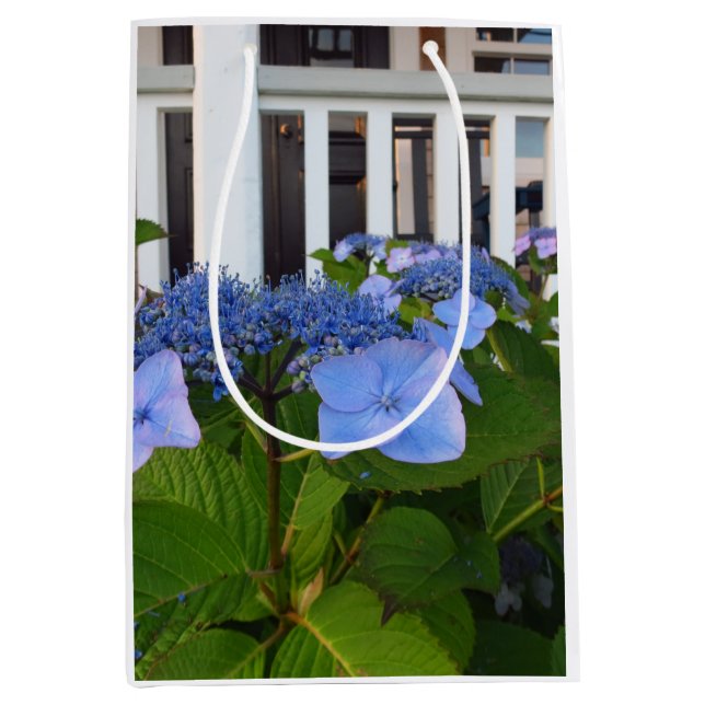 Viktorianische Hydrangea und Porch - Martha's Vine Mittlere Geschenktüte (Vorderseite)