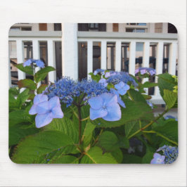 Viktorianische Hydrangea und Porch - Martha's Vine Mousepad