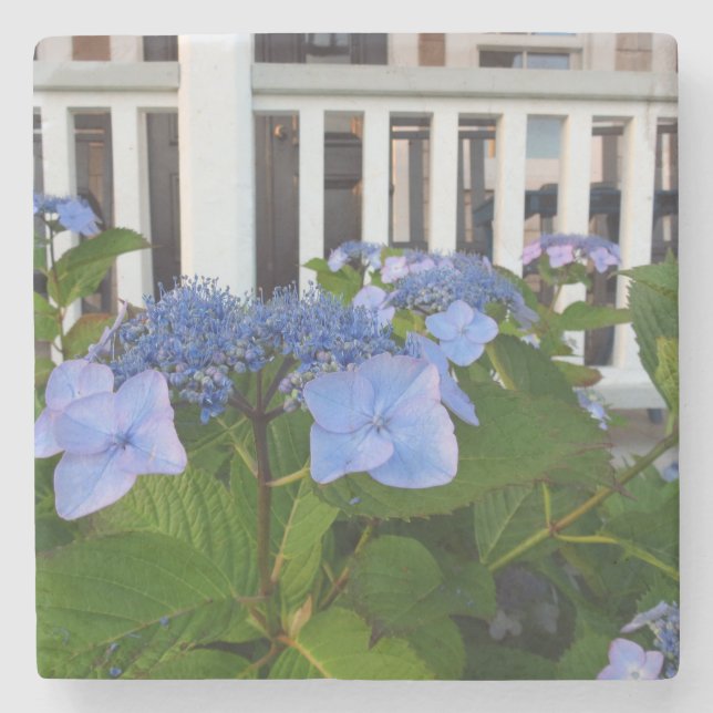 Viktorianische Hydrangea und Porch - Martha's Vine Steinuntersetzer (Vorderseite)