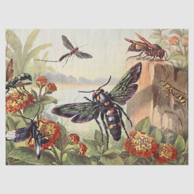 Viktorianische Insekten unter Viktorianischen Blum Seidenpapier (Vorderseite)