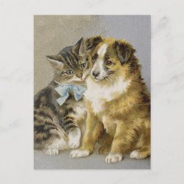 Viktorianische Katz- und Hundefreundschaft Postkarte