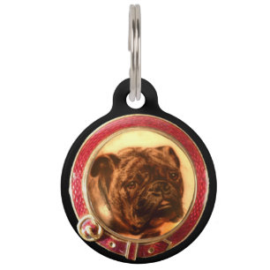 VIKTORIANISCHE MINIATUR HUND PORTRAITS Bulldog Haustiermarke