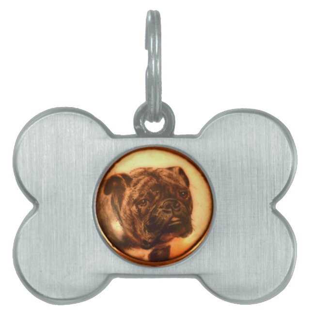 VIKTORIANISCHE MINIATURHUNDERPORTRAS BULLDOG TIERMARKE (Vorderseite)