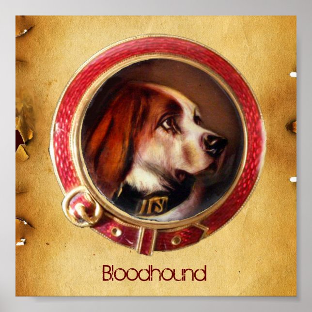 VIKTORIANISCHE MINIATURHUNDPORTRAITS Bluthund Poster (Vorne)