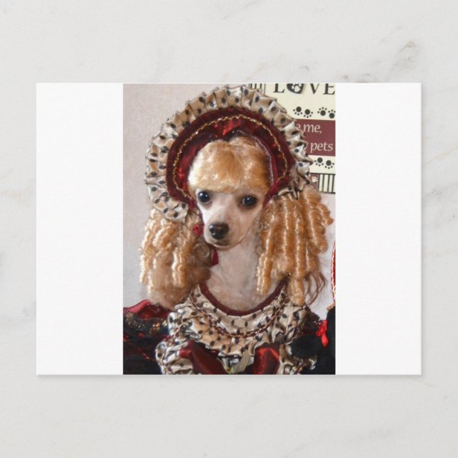 Viktorianische Pudel-Liebe-HundePose Postkarte (Vorderseite)