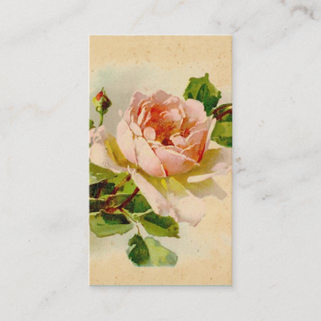 Viktorianische rosa Rose Business Cards Visitenkarte (Vorderseite)