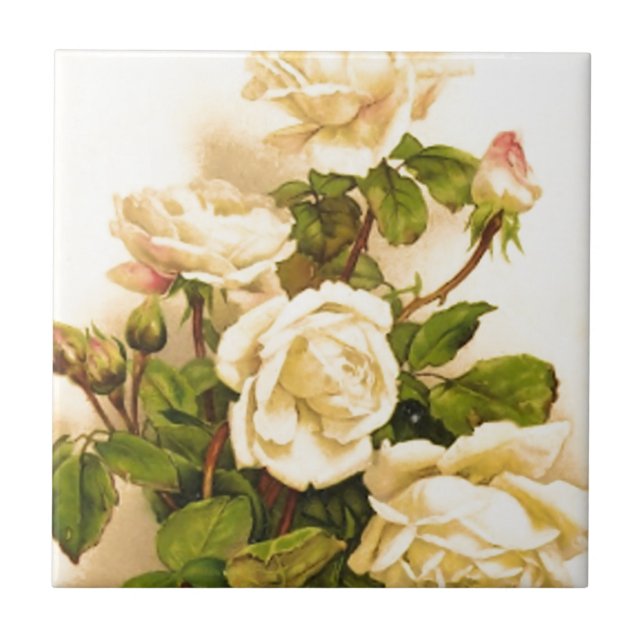 Viktorianische Rose von Elfenbein Fliese (Vorderseite)
