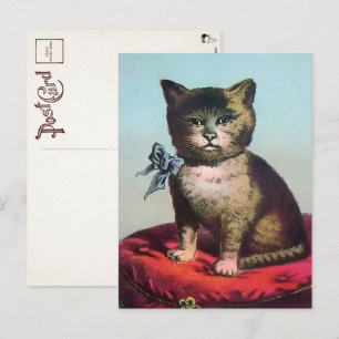 Viktorianische seltsame Katzenpostkarte Postkarte