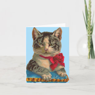 Viktorianische Tablet-Katze