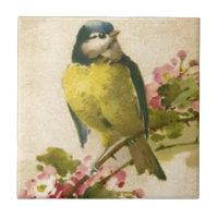 Viktorianische Vogel-Illustration