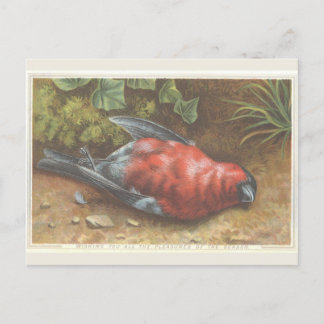 Viktorianische Weihnachtskarte mit totem Vogel Postkarte
