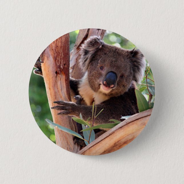 Viktorianischer Koala Button (Vorderseite)
