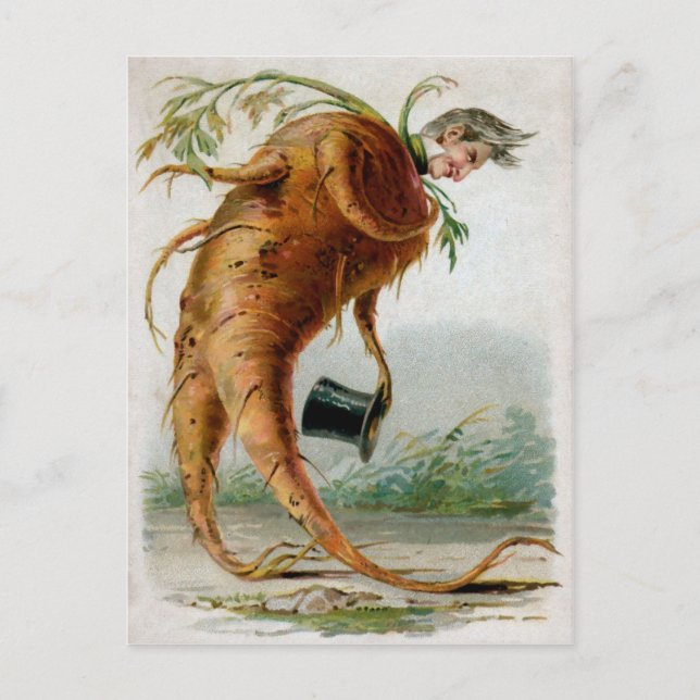 Viktorianischer Odd Root Man Postkarte (Vorderseite)