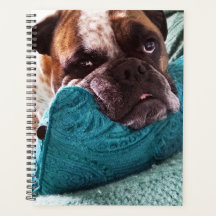 Viktorianisches Bulldog-Foto 8x11-Notebook