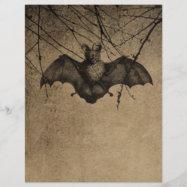 Viktorianisches Halloween-Bat-Buch (Vorderseite)