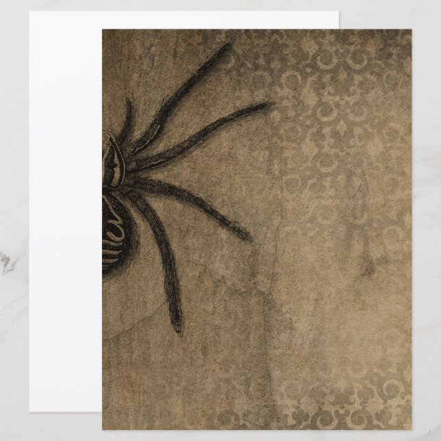 Viktorianisches Halloween Gothic Spider Scrapbook (Vorne/Hinten)