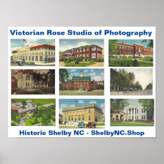 Viktorianisches Rose-Studio für Fotografie-Poster Poster