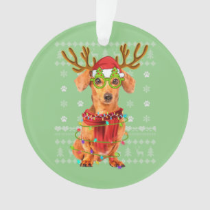 Vilaine lumière de Noël Dachshund Chien Chien Chie