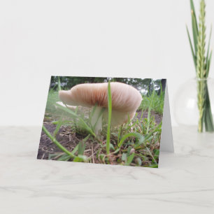 "Village Mushroom #2" Osterkarte Karte
