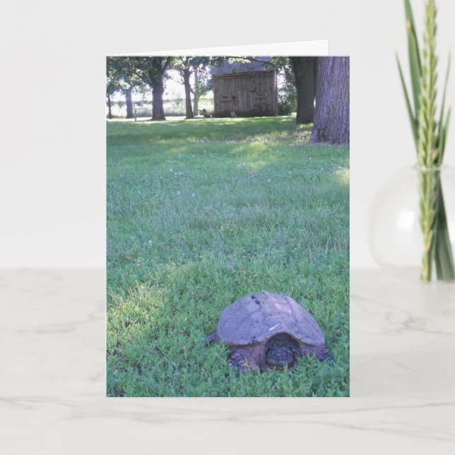 "Village Snapping Turtle" Geburtskarte Karte (Vorderseite)