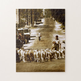 Villager und Herd