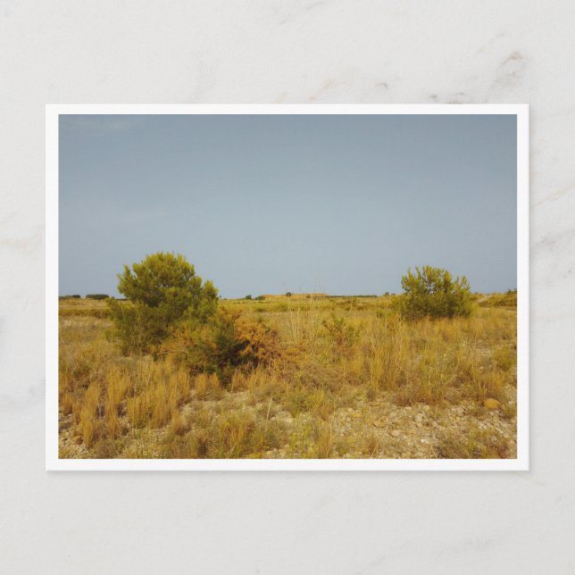 Villarreal (Spanien) Postkarte (Vorderseite)