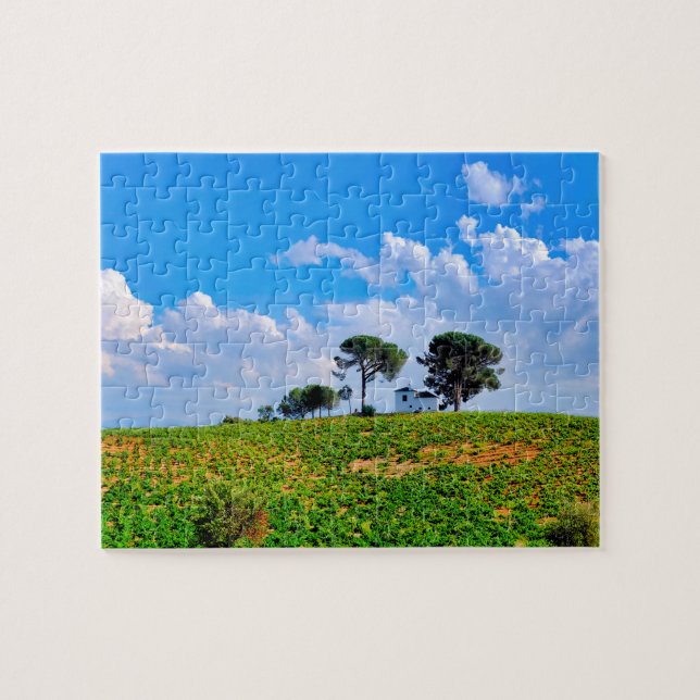 Viña de Los Pinos (Horizontal)