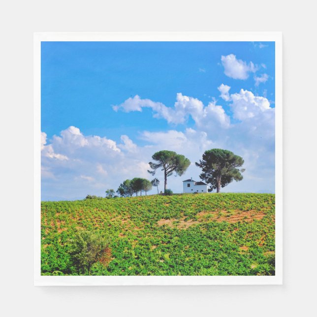 Viña de Los Pinos Serviette (Vorderseite)